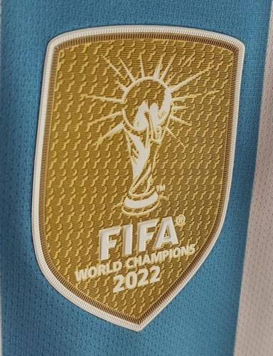 Camiseta Argentina 3 Estrellas Julian Alvarez (Usado)