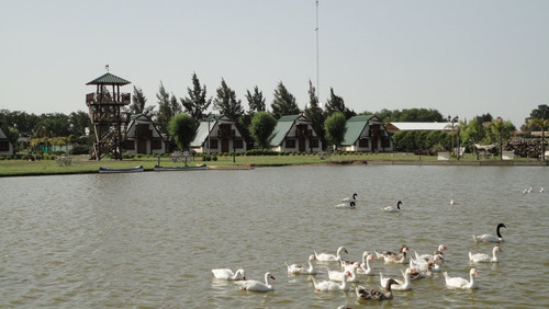 Imagen 17 de 17 de Negocio En Venta En Lobos