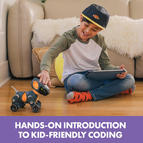 Coding Robot Educational Insights: El Mejor Amigo De Los Cod