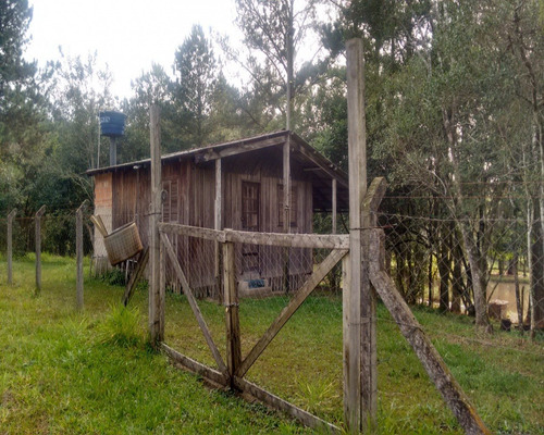 Chácara 2.500 M² - Morungava - Gravataí - Rs - 1487 - 32420008