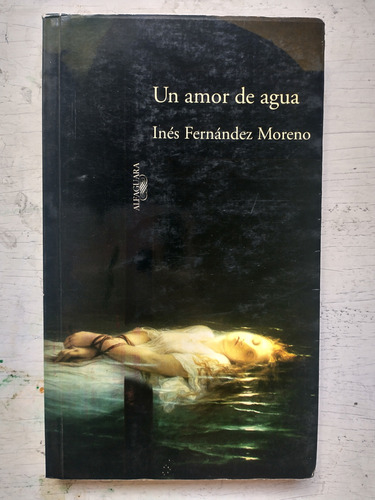 Un Amor De Agua Ines Fernandez Moreno