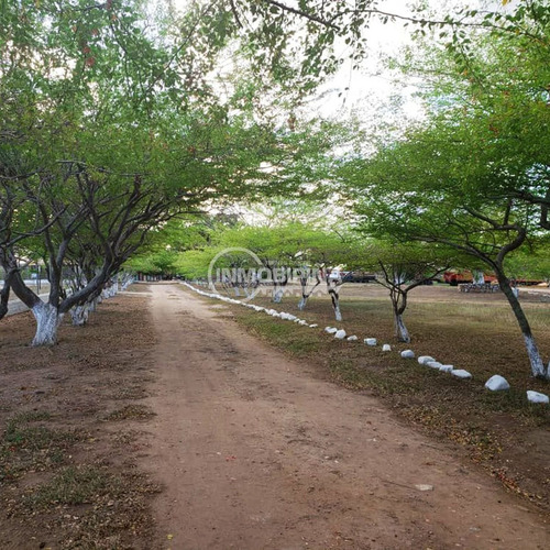 Imagen 4 de 4 de Finca En Venta - Upata Fl