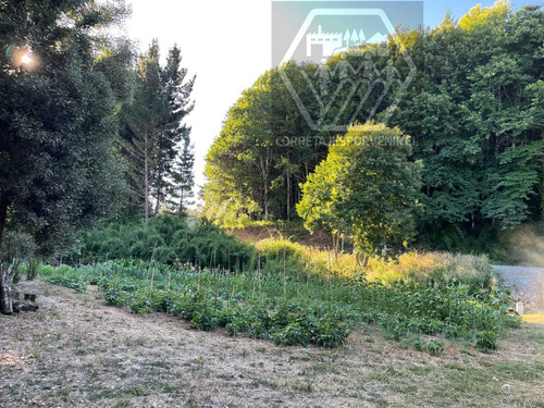 Parcela De 1ha En Venta A 11km De Quepe (96598)