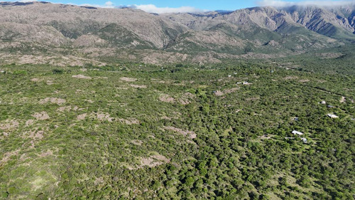 Campo En Venta En Nono, Los Algarrobos