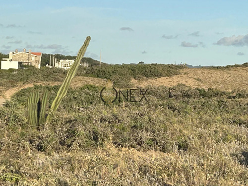 Vendo En Primera Línea Del Mar 2450 M2