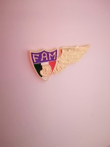Alas D Piloto Aviador Militar (media Ala) Fam En Baño De Oro