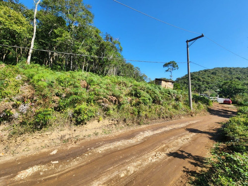 Imagem 5 de 11 de Terreno Excelente Em Jquuitiba
