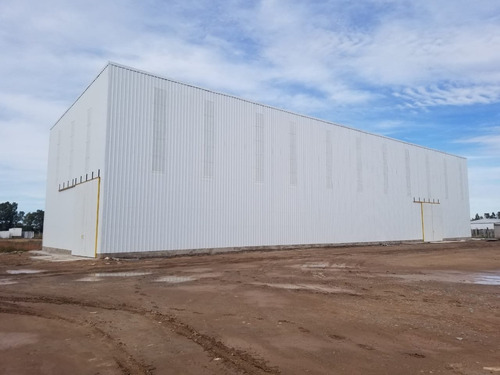 Imagen 7 de 8 de Deposito - Galpon - Parque Industrial Bahia Blanca 830 Mts. 515084