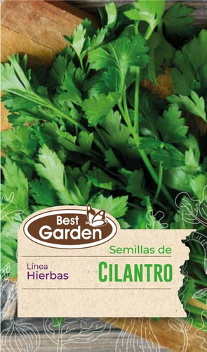 Semilla Cilantro 5gr. Best Garden