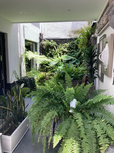 Imagen 9 de 22 de Preciosa Casa En La Mejor Calle De Anzures