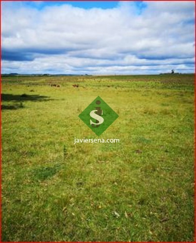 Venta De Campo En Treita Y Tres, 70 Hectareas Con Casa. - Ref: 168050
