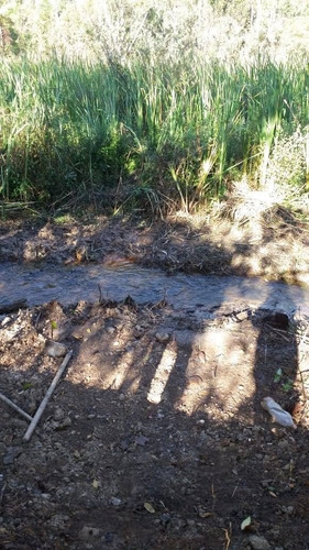 Imagem 7 de 7 de Chácara Em São Lourenço Da Serra Interior De São Paulo