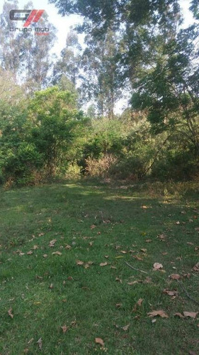 Chácara Com 2 Dormitórios À Venda, 24200 M² Por R$ 450.000 - Sete Voltas - Taubaté/sp - Ch0027