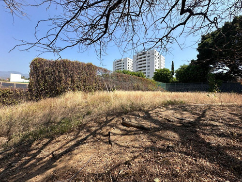 Terreno En Calzada De Los Reyes