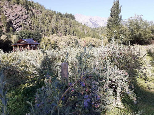 Imagen 8 de 16 de Venta De Excelente Cabaa Sobre Chacra De 1 Ha - El Hoyo