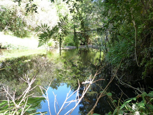 Vendo O Permuto Hermoso Terreno Con Orilla De Río En Maullín