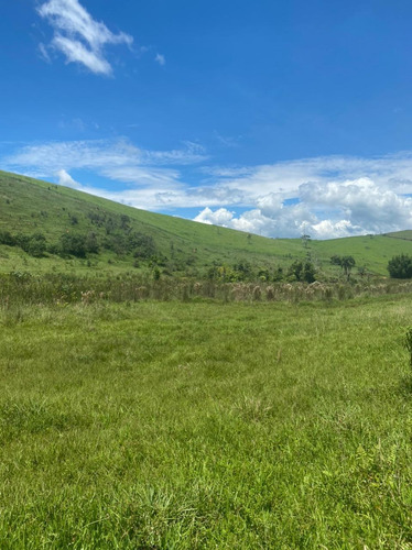 Imagem 5 de 7 de H9 Terrenos Próximo A De Igaratá