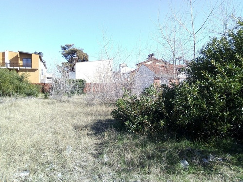 Lote A 100m Del Mar Y 50m De Avenida Principal