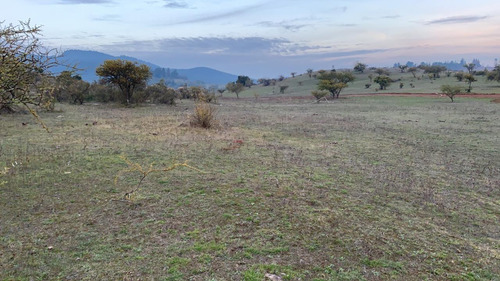 Parcela 5000mt2 Lomas De Polcura, Comuna De Longaví