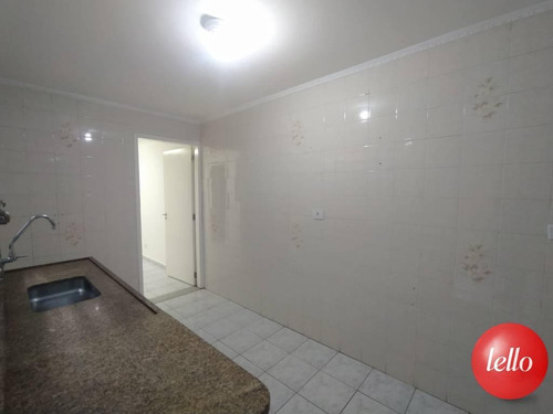 Imagem 19 de 24 de Comercial - Ref: 229061