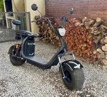 Comprar Moto Eléctrica Go-green Naked Pro Con 2 Baterías