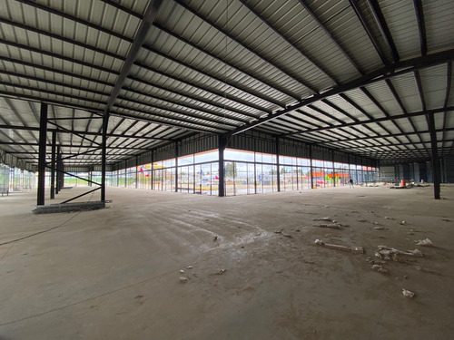 Bodega Comercial 100 M2 En Camino Internacional