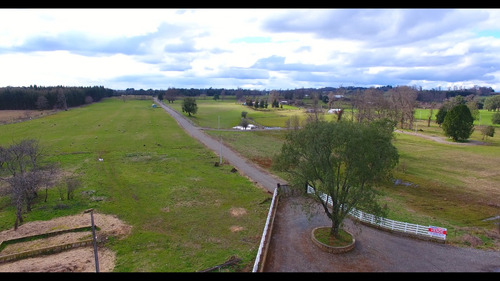Parcela 5000 M2 Lago Ranco