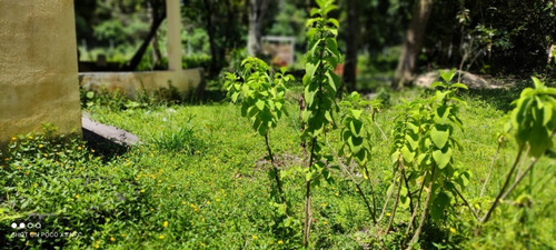 Imagem 7 de 15 de Chácara No Jardim São Fernando, Em Itanhaém, Com 2500 M² De Área Total, Aceita Entrada E Parcelas