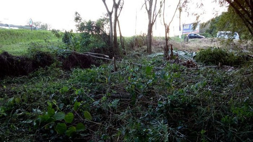 Imagem 2 de 5 de Terreno À Venda Na Estrada Artur Antunes Quintanilha, Rio Do Ouro, Rio Bonito - Rj - Liv-10049
