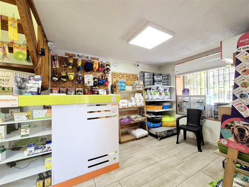 Clínica Veterinaria En Arriendo, En San Bernardo