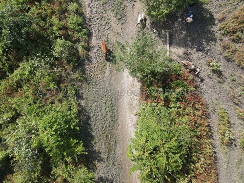 Finca En Venta Sabana De Parra Yaracuy Rah 23-14891 // Invierta Seguro Con Rentahouse//