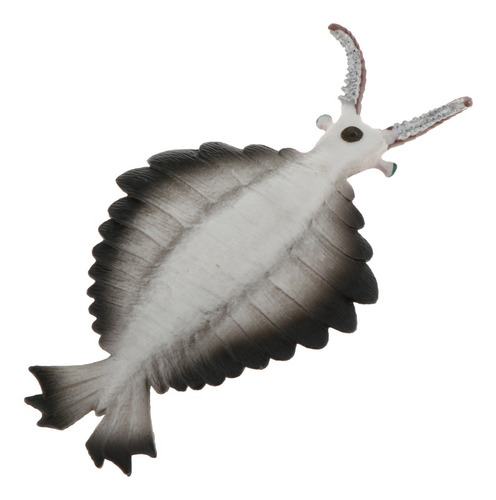 Juguetes Realistas De Animales Marinos Anomalocaris