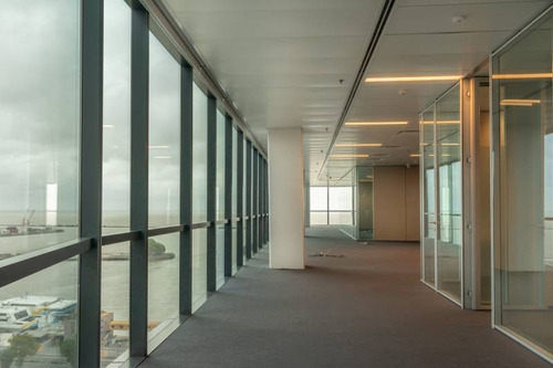 Imagen 15 de 30 de Oficinas Alquiler Catalinas