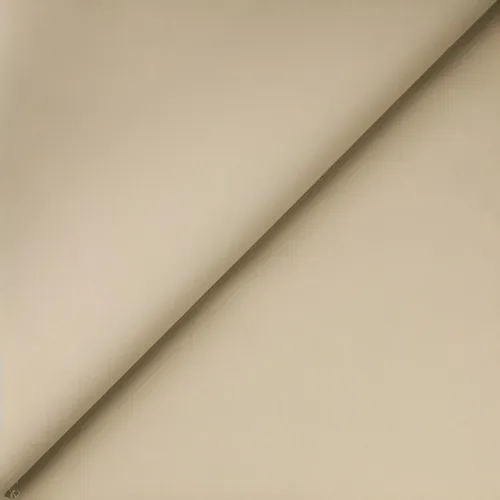 Rollo Cicap Bagun 0.38 Tela Lona Plastica 50mt Beige Crema