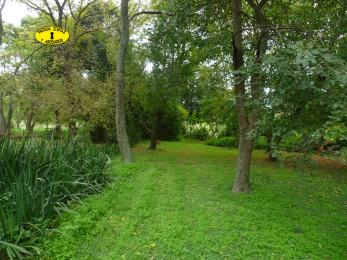 Imagen 26 de 29 de 1554ml-venta 20 Ha, C/ Casa En La Mejor Zona Polera