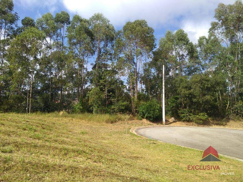 Imagem 10 de 10 de Terreno À Venda, 12000 M² Por R$ 478.000 - Tapanhão - Jambeiro/sp - Te0870