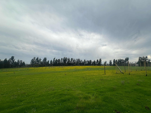 Terrenos 5.000mts2 Rol Propio Limache Sector Los Laureles