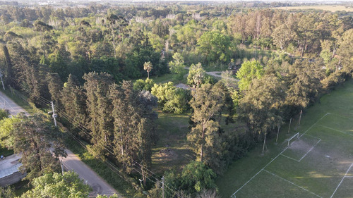 Terreno En Moreno