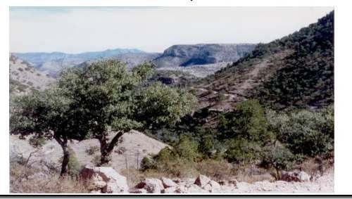 Imagen 1 de 5 de Se Vende Terreno Rsutico, Nonoava
