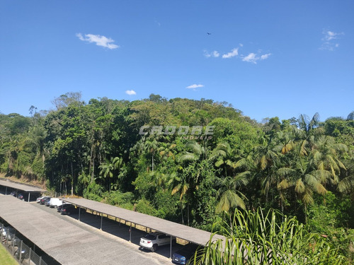 Imagem 6 de 20 de Ótimo Apartamento No Bairro Água Verde, Residencial Cancun. - 3052214v