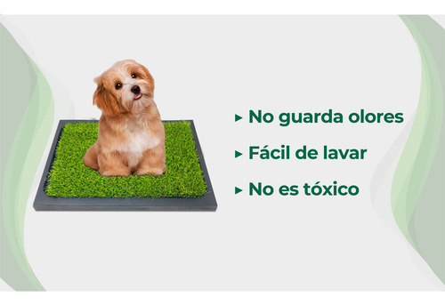 Mikel´s Ts-1p Tapete Entrenador Para Perro 50 X 42 Cm
