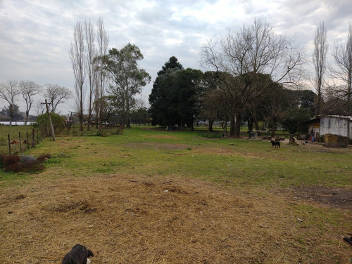 Imagen 10 de 19 de Chacra 4 Hectareas - Los Cardales - Ruta 39