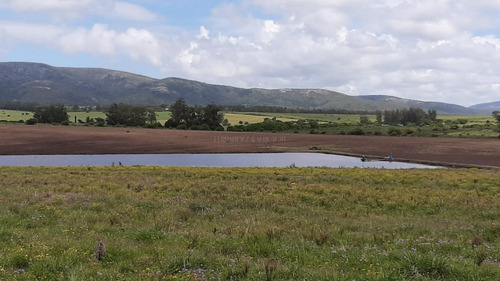 Campo De 32 Hectáreas A Pocos Km De Ruta 9