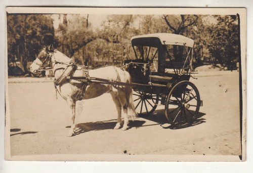 Antigua Fotografia Sulky Techado Transportes Uruguay Vintage