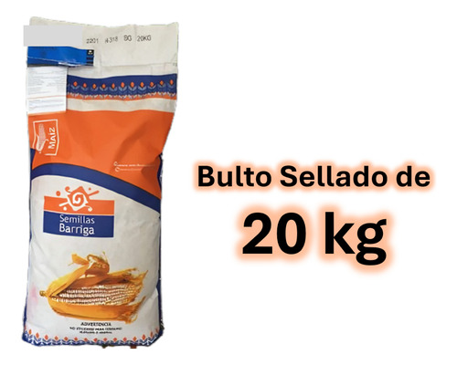 Semilla De Maiz Hibrido Amarillo Para Silo H-386 Forrajero