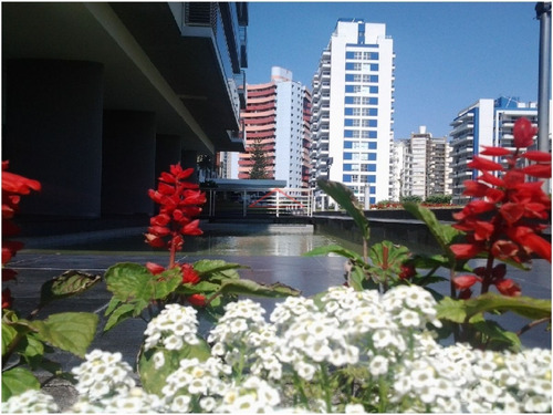 Apartamento En Brava, 3 Dormitorios *- Ref: 2796