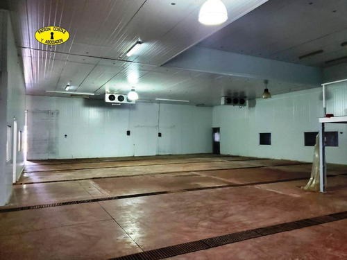 Imagen 3 de 10 de 3117ga- 2795 M2 De Galpones Con 1517 M2 De Frio Ideal Para