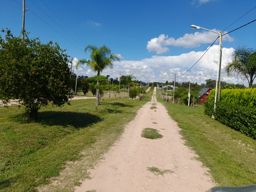 Excelente Lote En Concepcion Del Uruguay Entre Rios