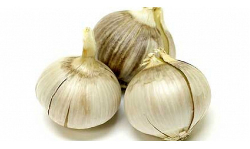 3 Bulbos Grandes De Ajo Macho - Allium Sativum O Ampelopras