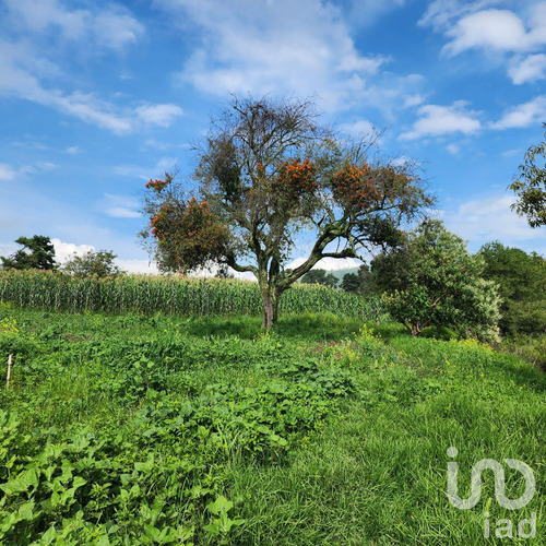 Venta Terreno 0 Ambiente San Antonio Zoyatzingo